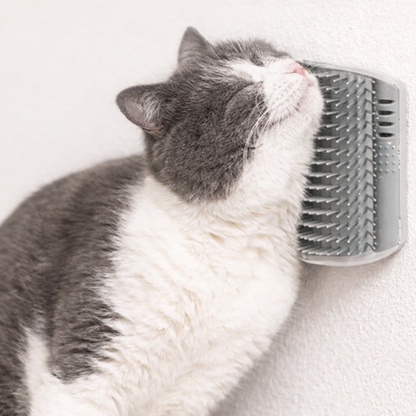 Katzen-Selbstbürste zur Entfernung loser Haare