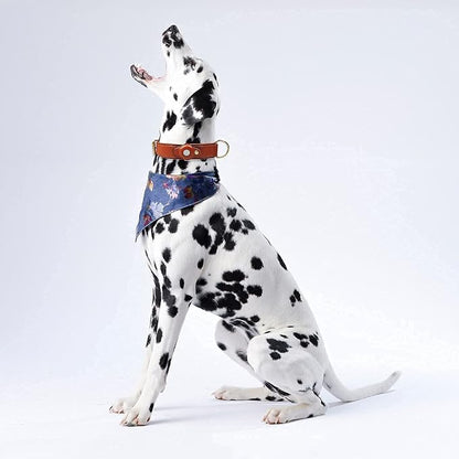 Echtes Lederhalsband mit Airtag-Halter für Hunde