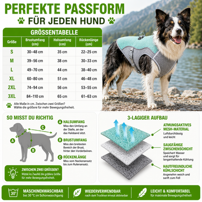Kühlweste Hund mit Geschirr und Reflektoren