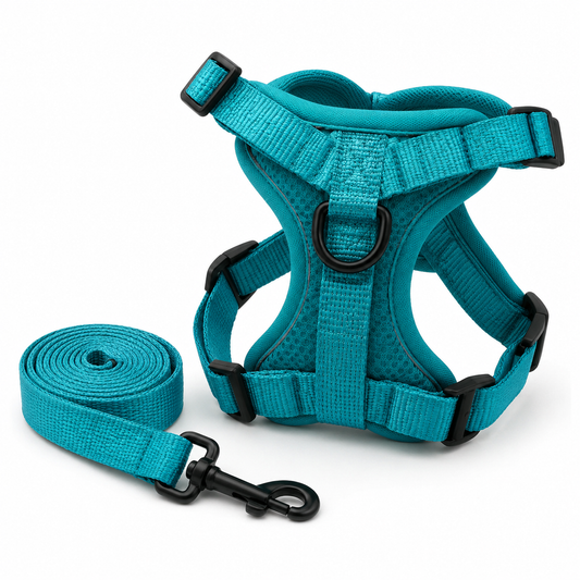 Zugfrei Hundegeschirr & Leinen-Set