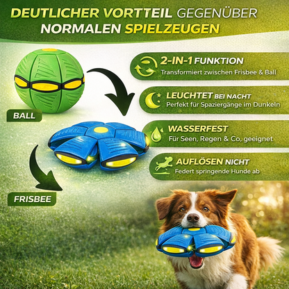 Hunde Frisbee Ball für Spiel & Training