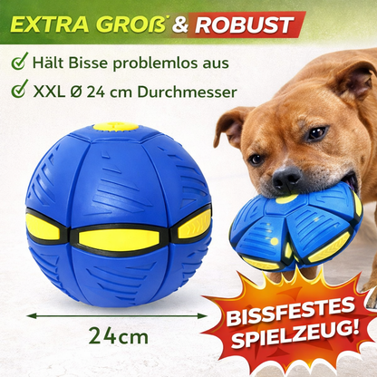 Hunde Frisbee Ball für Spiel & Training