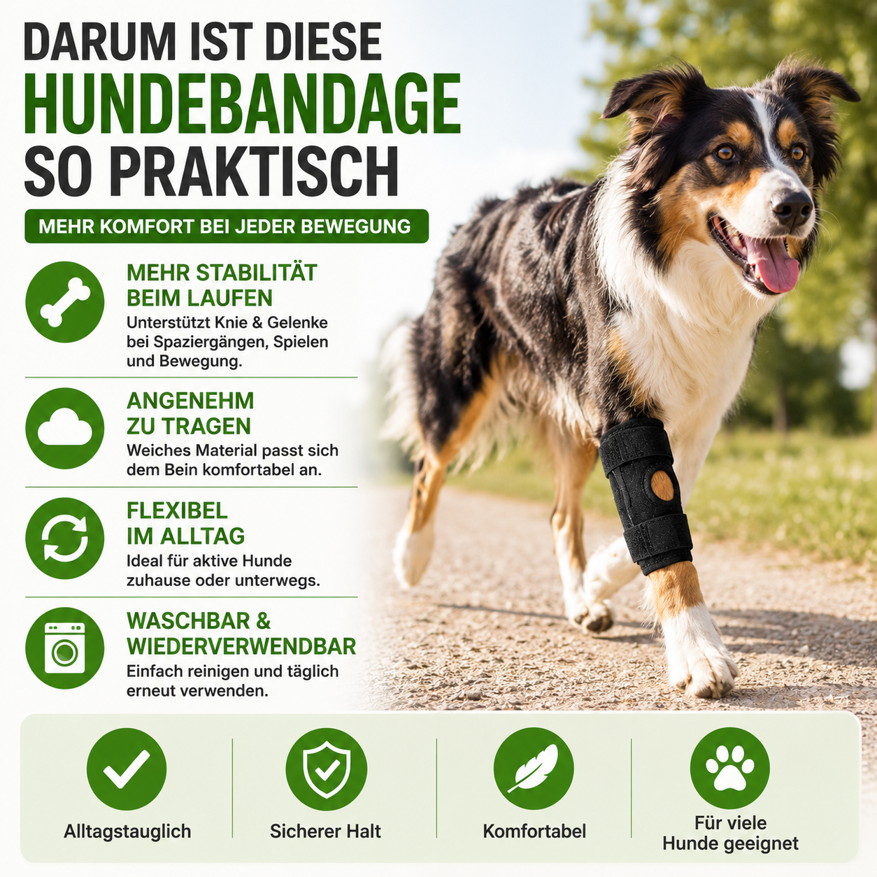 Orthopädische Gelenkbandage für Hunde stabilisierend