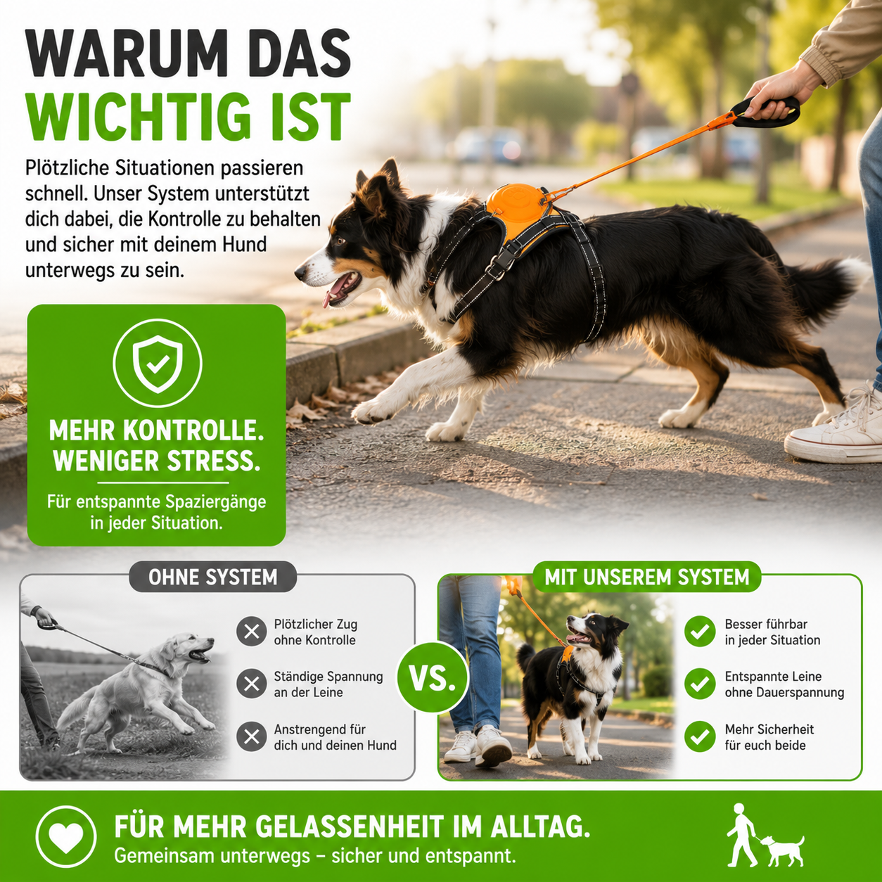Anti-Zug Hundegeschirr mit Leine & Auto-Stopp-System