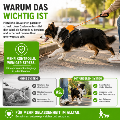 Anti-Zug Hundegeschirr mit Leine & Auto-Stopp-System