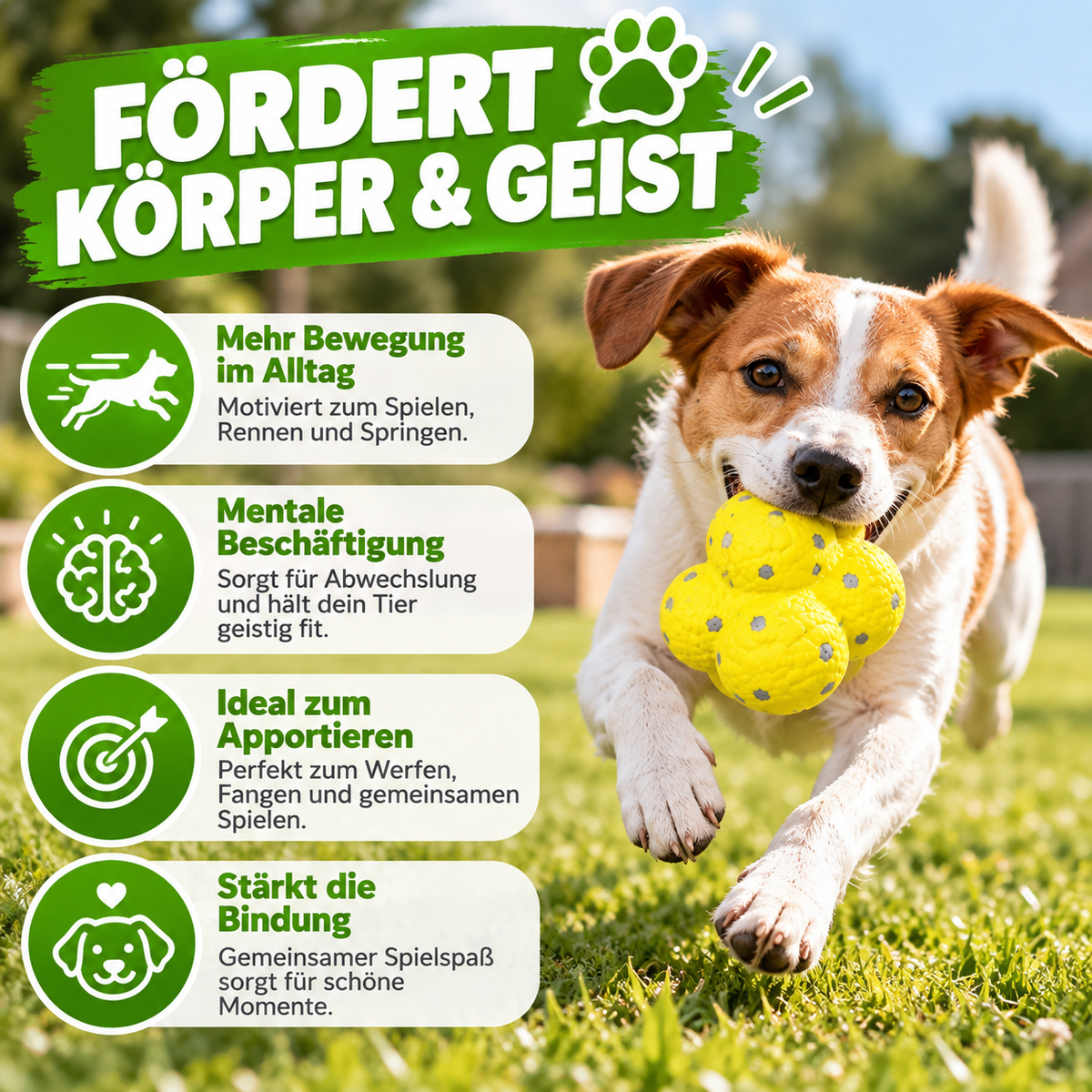 Beißfester Spielball für Hunde und Katzen
