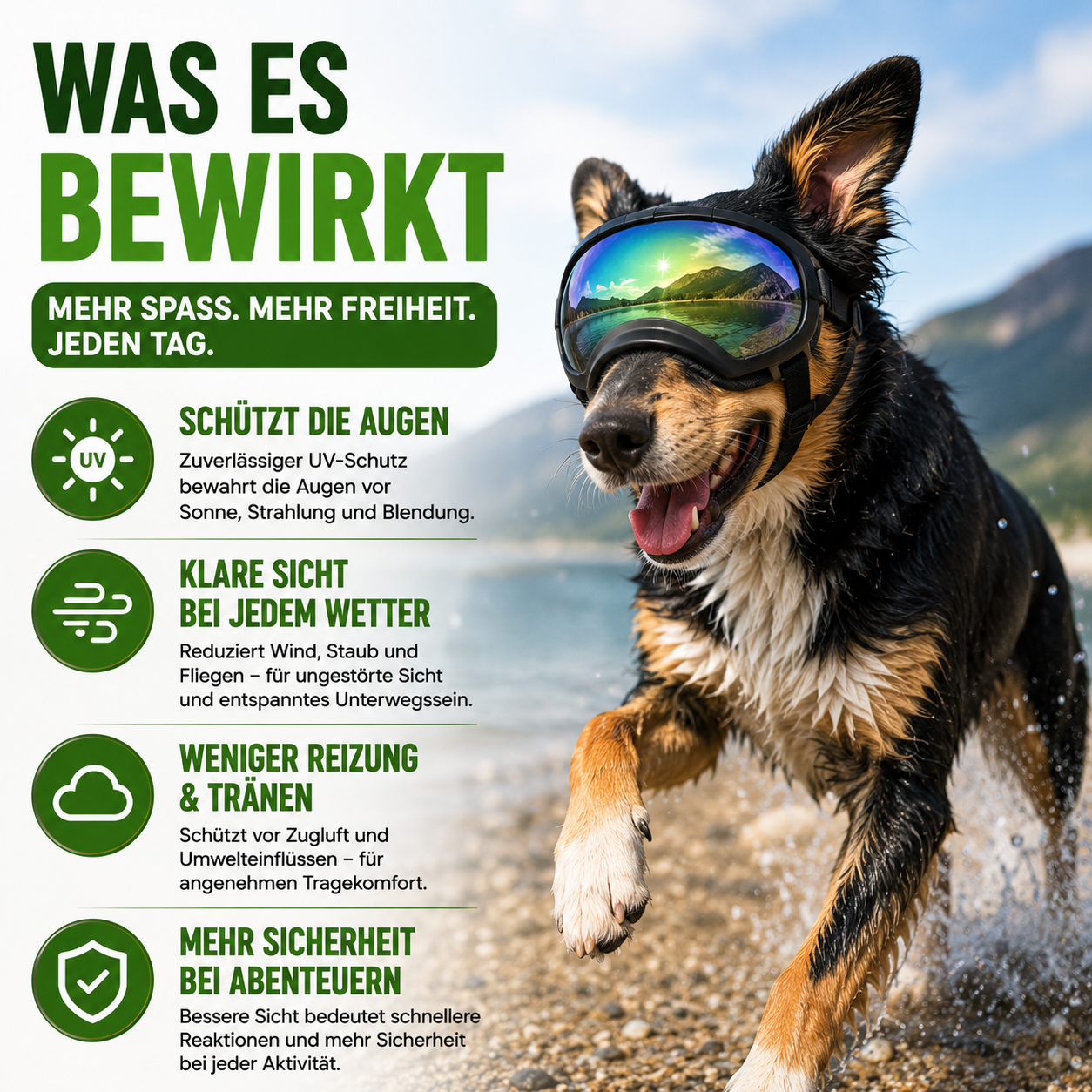 Hundebrille mit UV-Schutz für kleine & große Hunde – winddicht, verstellbar & Anti-Fog