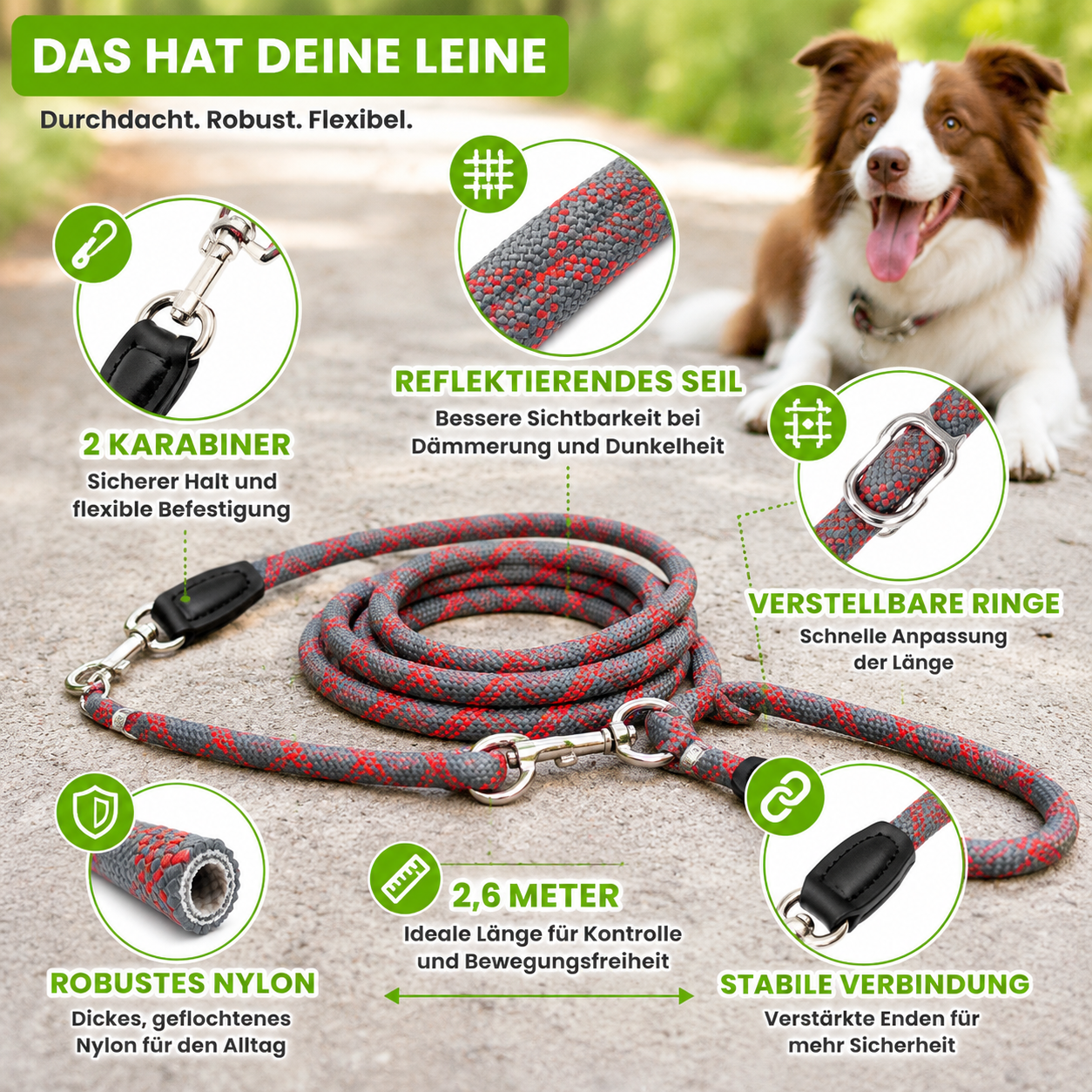 Reflektierende Hundeleine mit Trainingsfunktion