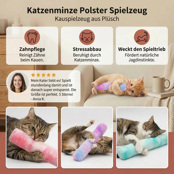 Katzenminze-Kissenspielzeug für Katzen