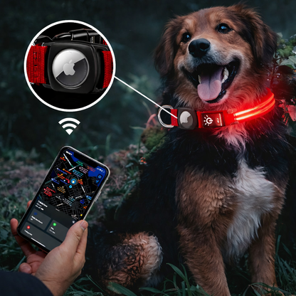 Wasserdichtes LED AirTag Hundehalsband mit USB-C