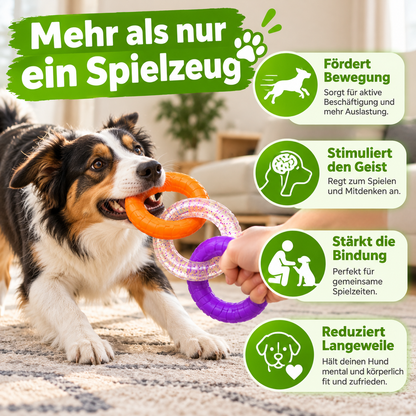 3 Ring Kauspielzeug für Hunde robust und zahnschonend
