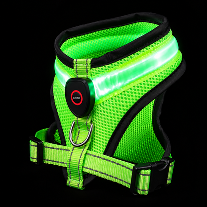 LED-Hundegeschirr mit USB-Aufladung