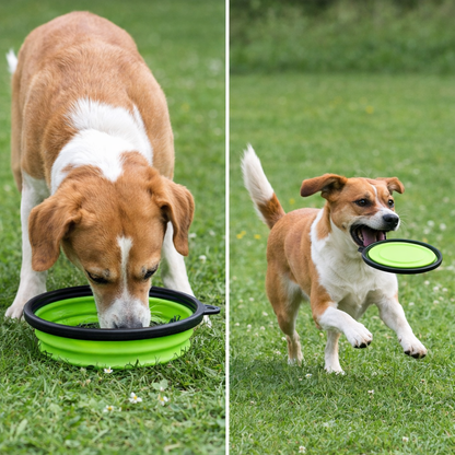 Faltbarer Silikon-Futternapf mit Frisbee-Funktion