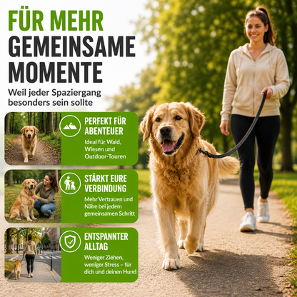 Lange Trainingsleine für Hunde mit Handschlaufe