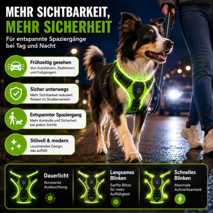 LED Hundegeschirr für bessere Sichtbarkeit nachts