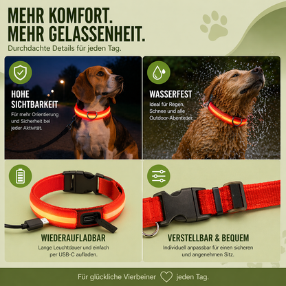 USB-C LED Hundehalsband – 7 Farben, 3 Modi & doppelte D-Ringe