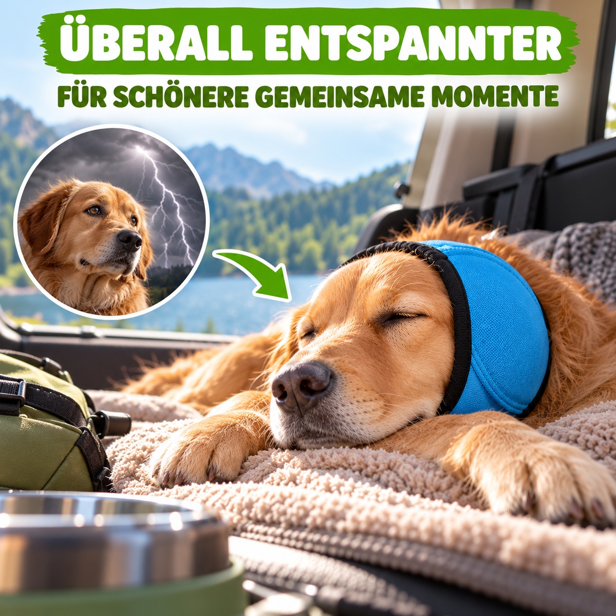 Hunde-Ohrenschutz mit Geräuschdämpfung
