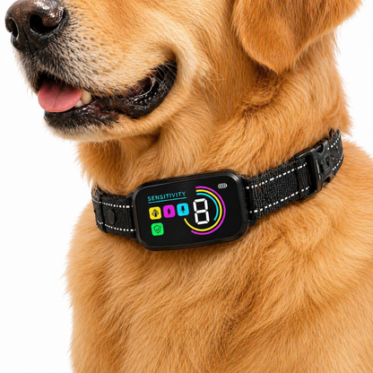 Hundetrainingshalsband mit Display, USB-C & 3 Trainingsmodi
