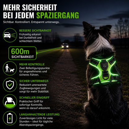LED Hundegeschirr für bessere Sichtbarkeit nachts