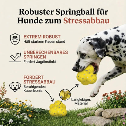Beißfester Hunde- & Katzenball – Spielspaß drinnen & draußen