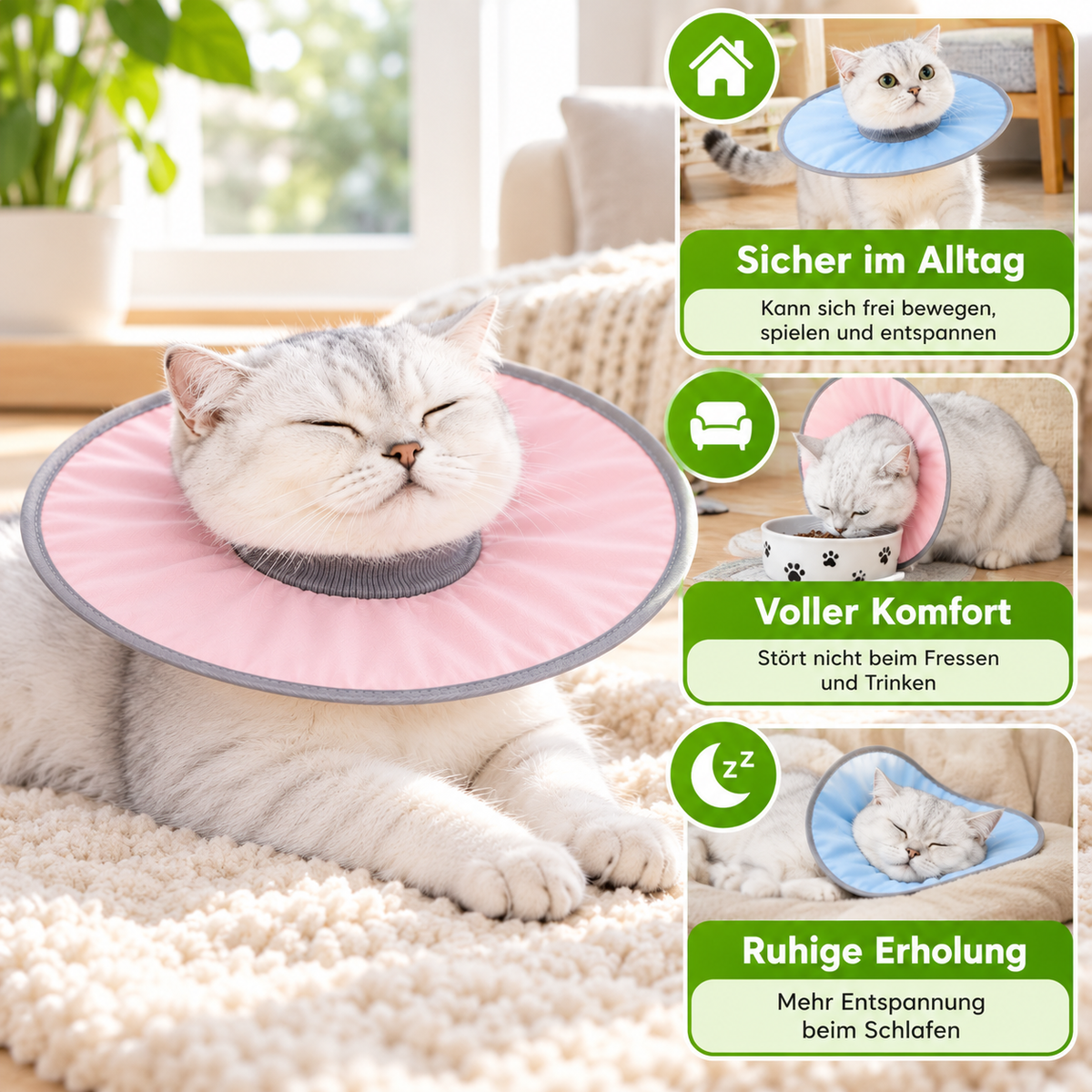 Katzen-Schutzkragen weich & komfortabel