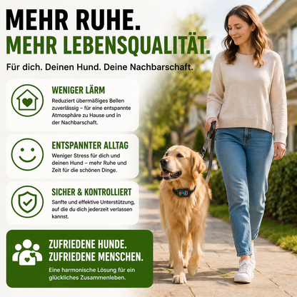 Hundetrainingshalsband mit Display, USB-C & 3 Trainingsmodi