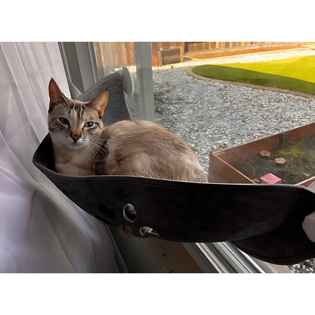 Katzen-Fenster Hängematte – Perfekte Aussicht für Ihre Samtpfote! - Fluffy Adventures Haustiershop Default Title Mein Shop Katzenhängematte Katzen-Fenster Hängematte – Perfekte Aussicht für Ihre Samtpfote! Katzenhängematte Mein Shop Default Title Fluffy Adventures Haustiershop