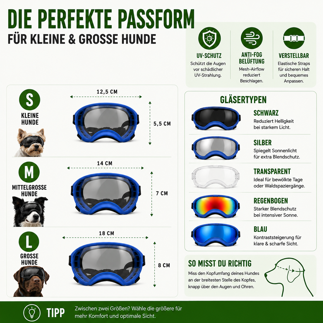 Hundebrille mit UV-Schutz für kleine & große Hunde – winddicht, verstellbar & Anti-Fog