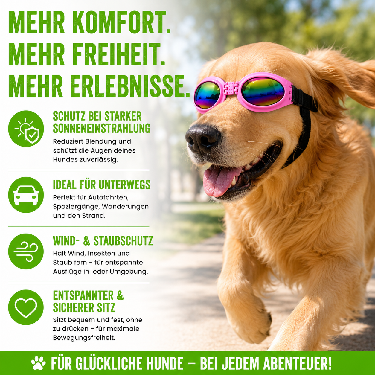 Faltbare Hundesonnenbrille mit UV-Schutz