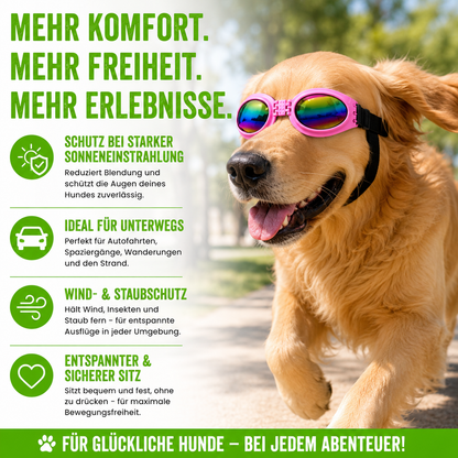 Faltbare Hundesonnenbrille mit UV-Schutz
