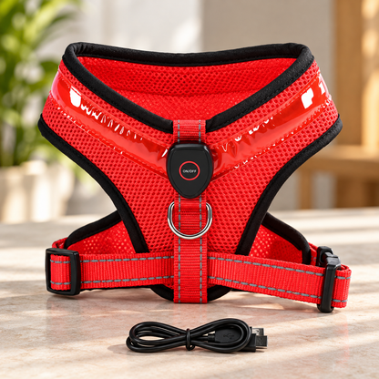LED-Hundegeschirr mit USB-Aufladung Rot