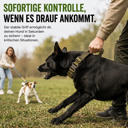 Taktisches Hundehalsband mit Metall-Schnalle & Griff