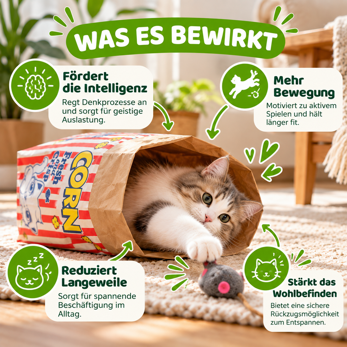 Versteckspiel Kraftpapier Spielzeug für Hunde & Katzen