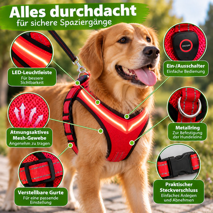 LED-Hundegeschirr mit USB-Aufladung