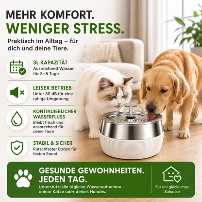 Leiser 3L Edelstahl Trinkbrunnen für Katzen & Hunde