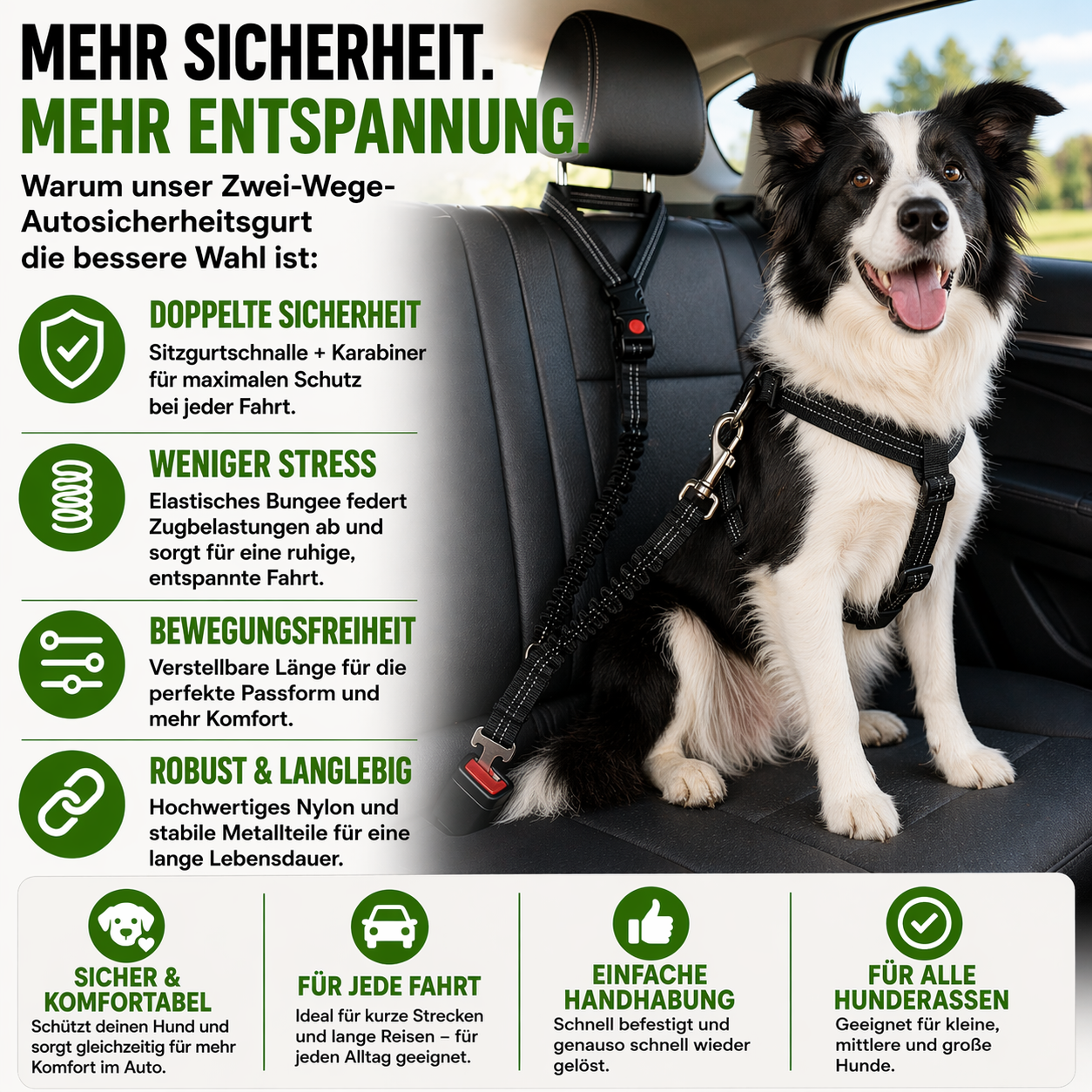 Zwei-Wege-Autosicherheitsgurt