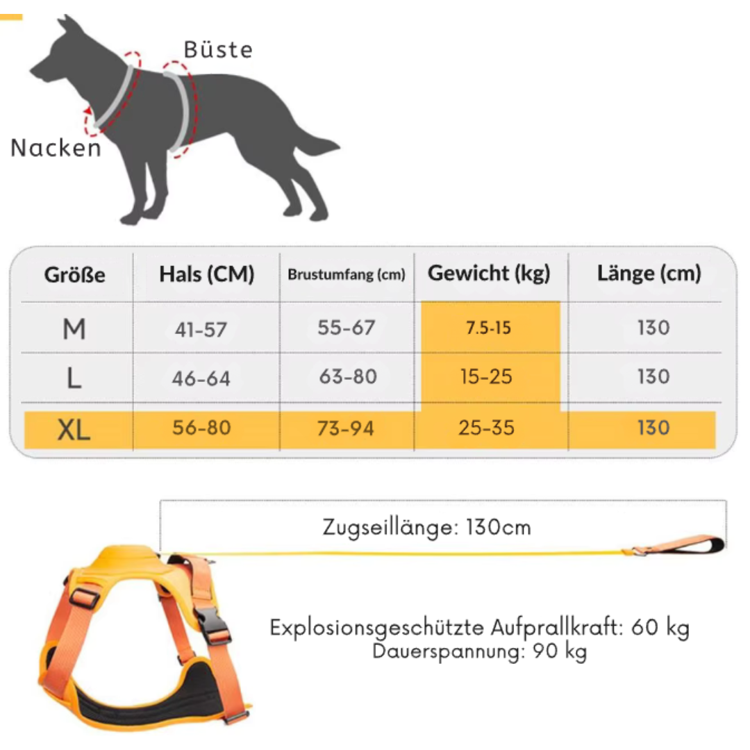 Anti-Zug Hundegeschirr mit Leine & Auto-Stopp-System