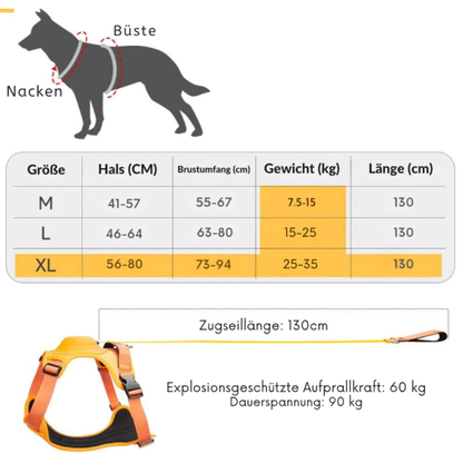 Anti-Zug Hundegeschirr mit Leine & Auto-Stopp-System