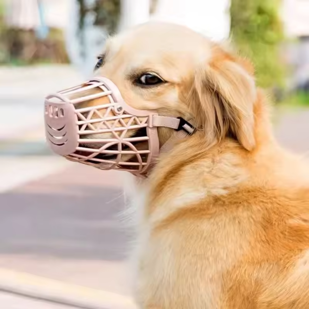 Atmungsaktiver Hundemaulkorb – sicher, bequem & verstellbar