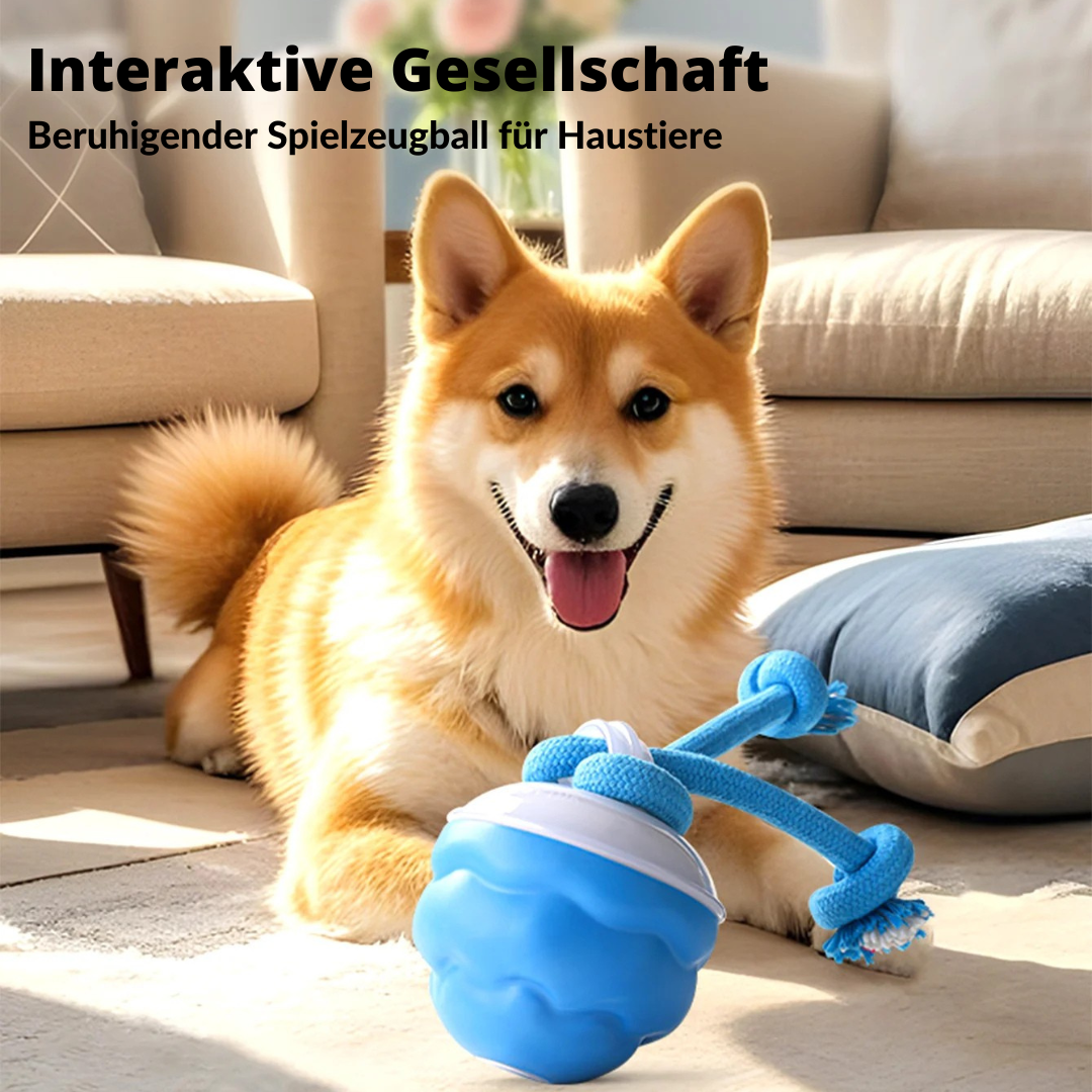 Auto-Knot – Intelligentes Hundespielzeug für endlosen Spaß 🐾🤖