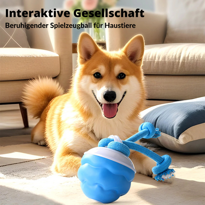 Auto-Knot – Intelligentes Hundespielzeug für endlosen Spaß 🐾🤖