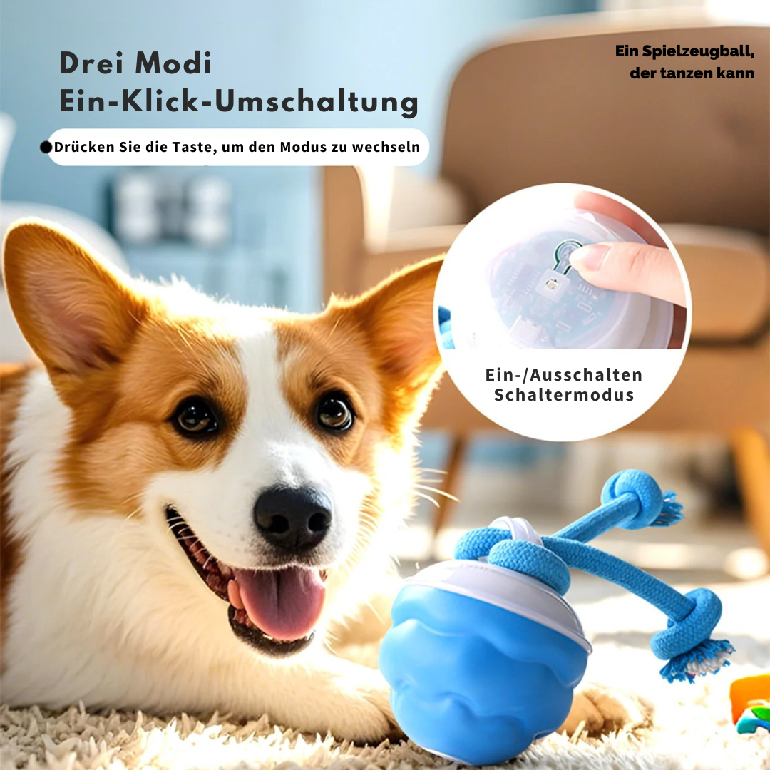 Auto-Knot – Intelligentes Hundespielzeug für endlosen Spaß 🐾🤖