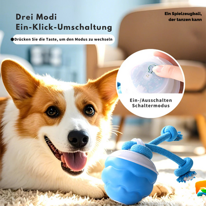 Auto-Knot – Intelligentes Hundespielzeug für endlosen Spaß 🐾🤖