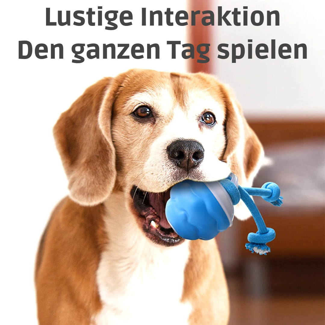 Auto-Knot – Intelligentes Hundespielzeug für endlosen Spaß 🐾🤖
