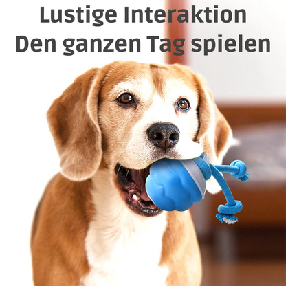 Auto-Knot – Intelligentes Hundespielzeug für endlosen Spaß 🐾🤖