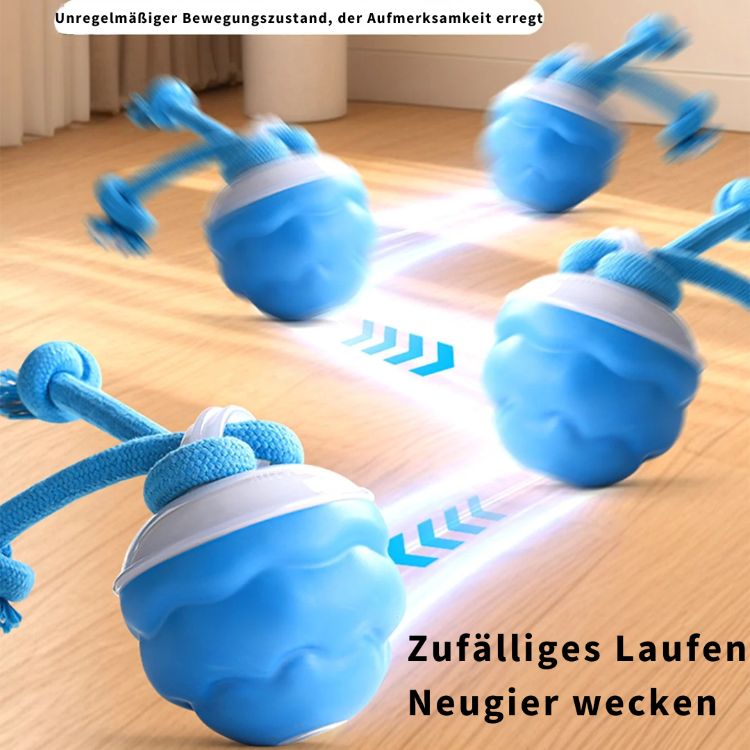 Auto-Knot – Intelligentes Hundespielzeug für endlosen Spaß 🐾🤖