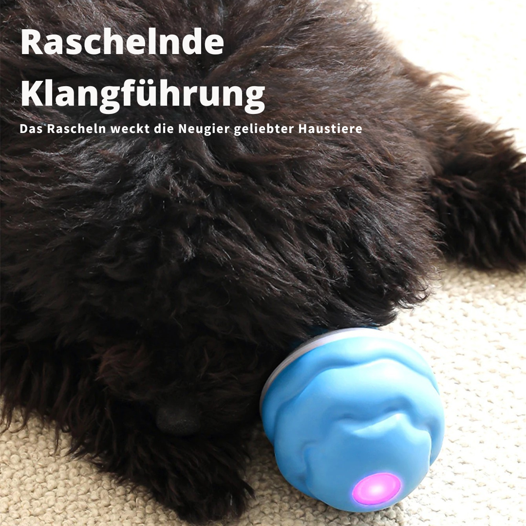 Auto-Knot – Intelligentes Hundespielzeug für endlosen Spaß 🐾🤖