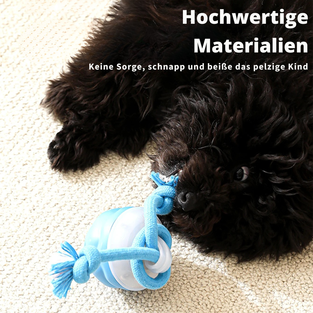Auto-Knot – Intelligentes Hundespielzeug für endlosen Spaß 🐾🤖