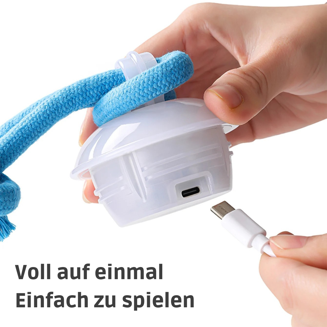 Auto-Knot – Intelligentes Hundespielzeug für endlosen Spaß 🐾🤖