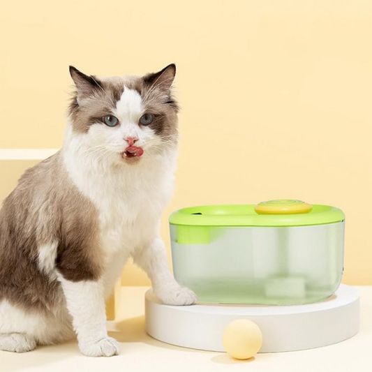 Automatischer Trinkbrunnen für Katzen & Hunde – leise & hygienisch
